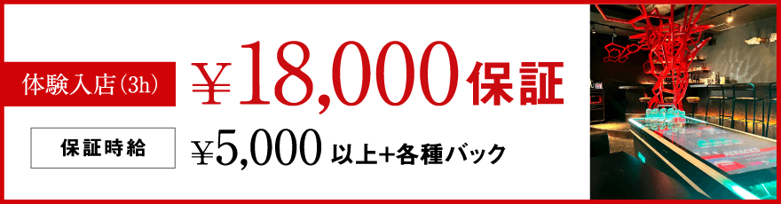 キャスト募集｜研究学園駅前ガールズバー「月ノハコニワ」